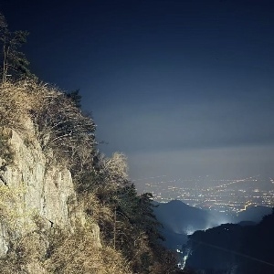 雇主头像